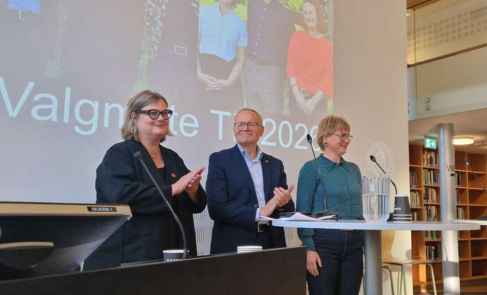 nne Hege Grung, Hallgeir Elstad og Marianne Bjelland Kartzow